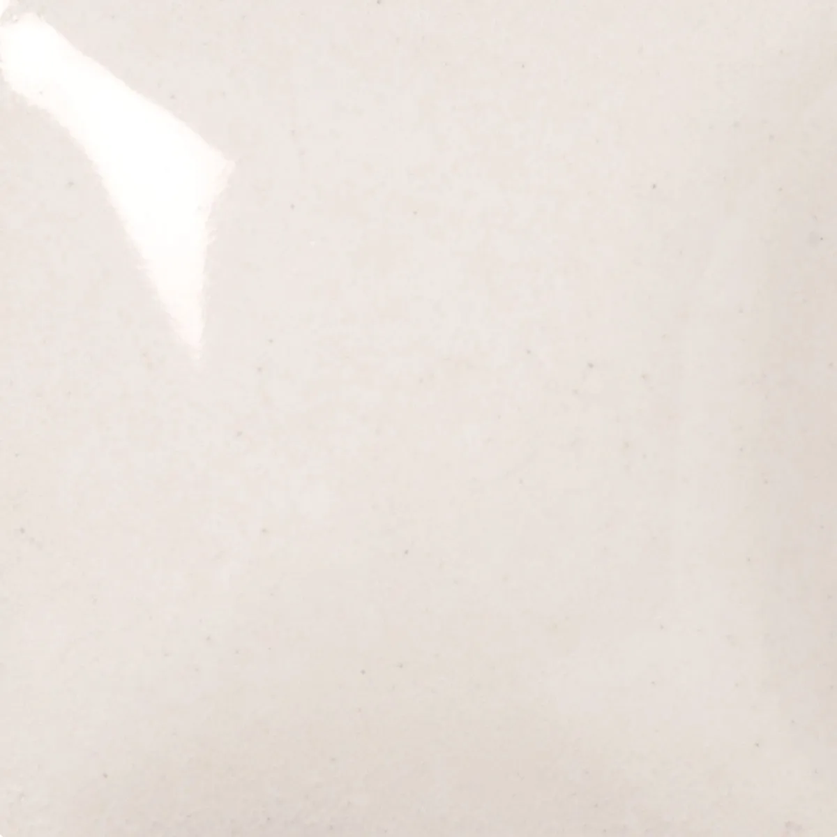 PG-BRUSHON - PURE BRILLIANCE BRUSH ON